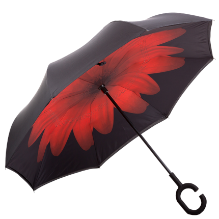 Printed Reversible Umbrella