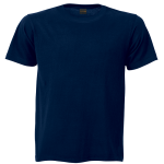 145g Barron Crew Neck T-Shirt - Image 5
