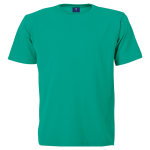 145g Barron Crew Neck T-Shirt - Image 14