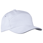 6 Panel Carbon Cap - Image 5