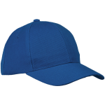 6 Panel Raven Cap - Image 4