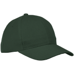 6 Panel Raven Cap - Image 7