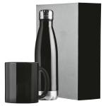 Stainless Steel Bottle & Mug Gift Set