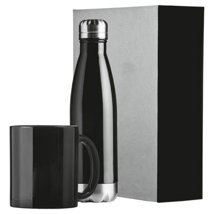 Stainless Steel Bottle & Mug Gift Set