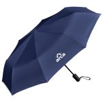 Serendipio Sleet Auto-Open Compact Umbrella - Image 4