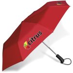 Whimsical Auto-Open Compact Umbrella - Image 4